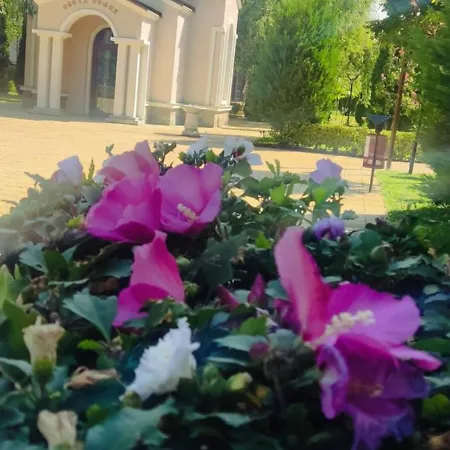 Golf Club Mia 2 Apartment Slantschew brjag