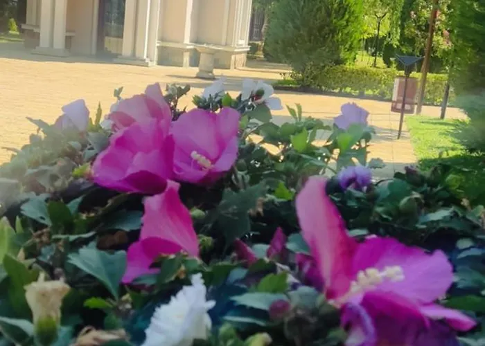 Golf Club Mia 2 Апартамент Слънчев бряг